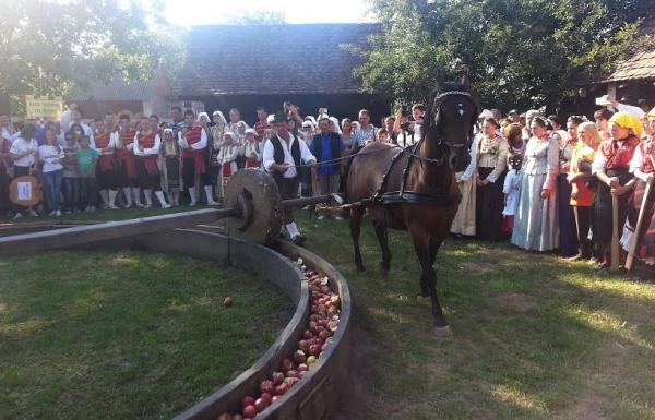 Ižimača u Beravcima