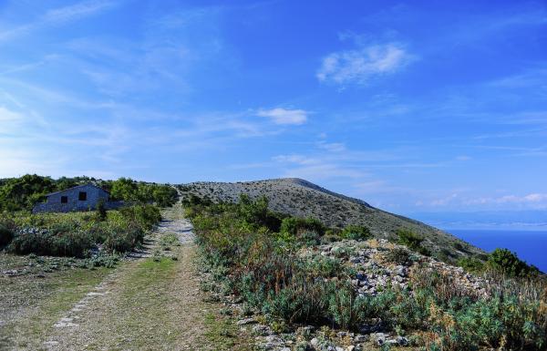 Cres & Lošinj Trail Weekend