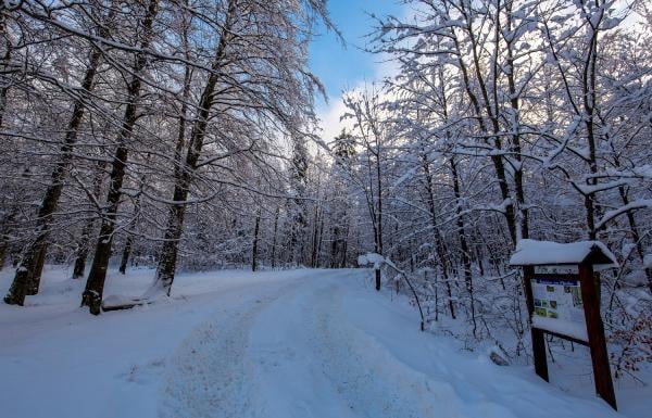 Zimske radosti na Kvarneru
