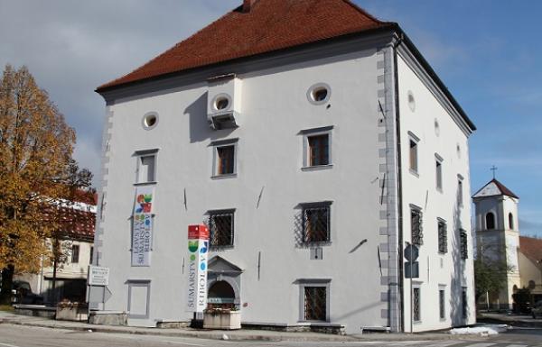 Višnja Bolf