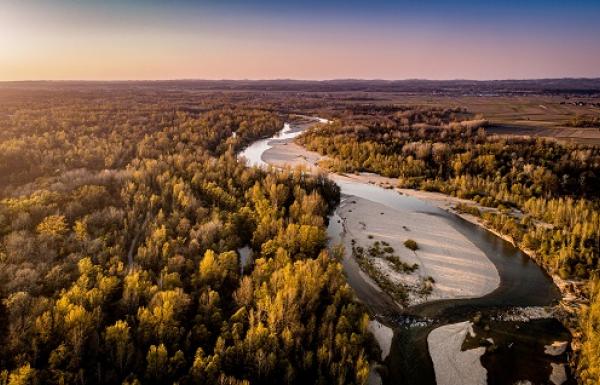 Drava, Siniša Sović