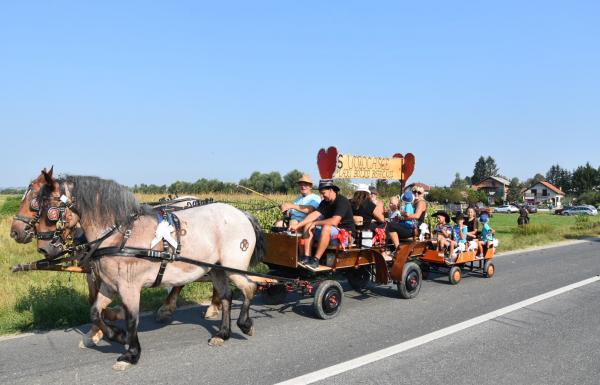 TZ općine Marija Bistrica