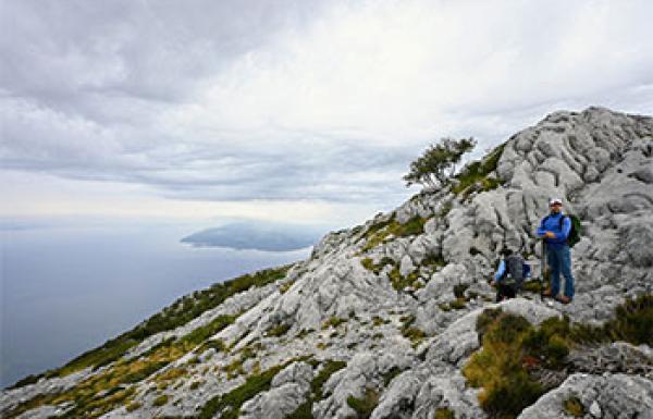 TZ Splitsko-dalmatinske županije