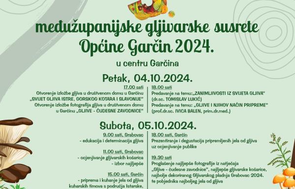 TZO Garčin