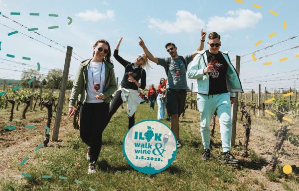 Ilok Walk&Wine