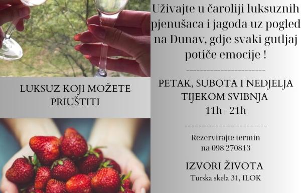 Dani pjenušca i jagoda
