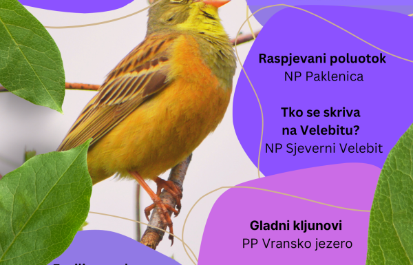 Poslušaj glas prirode