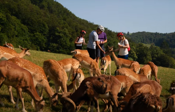 Turistička zajednica područja Srce Zagorja