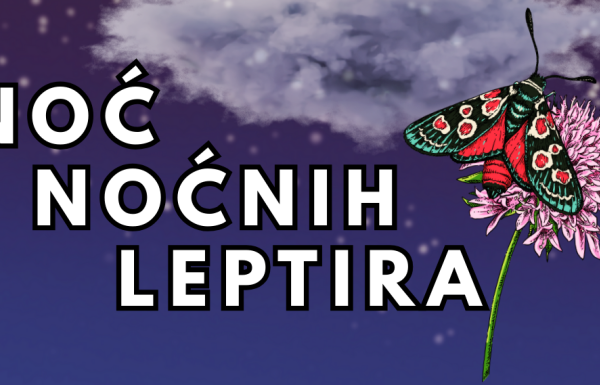 Noć noćnih leptira
