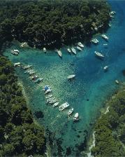 Losinj, Ivo Pervan