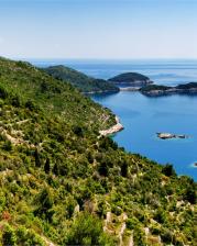 Mljet - Aleksandar Gospic