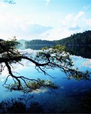 Mljet - Ivo Pervan