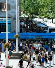 Zagreb, Stipe Surac