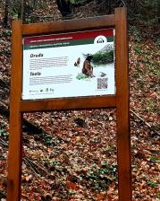 Putevima pračovjeka