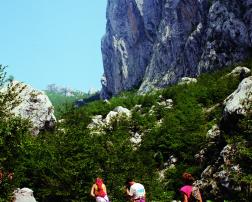 Paklenica