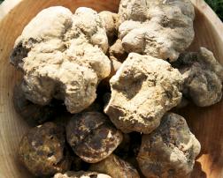 Tartufi