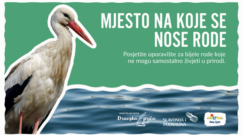 TZ Virovitičko-podravske TZ Virovitičko-podravske
