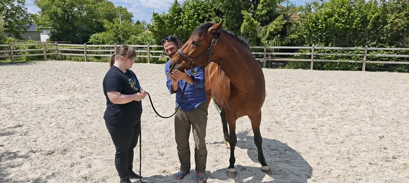 TZ Međimurske županije