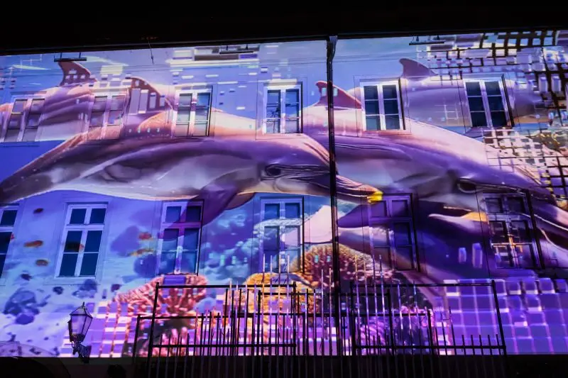 Samir Cerić Kovačević