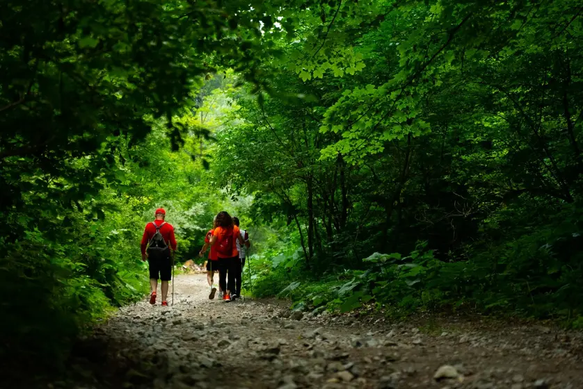 TZ Varaždinske županije