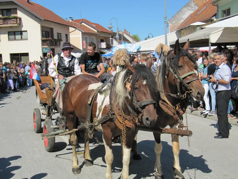 Turistička zajednica općine Marija Bistrica