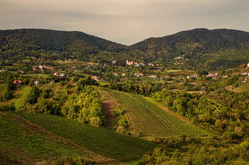 Turistička zajednica Zagrebačke županije