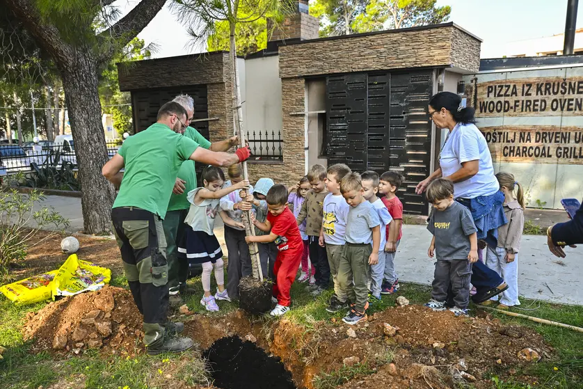 Turistička zajednica grada Novalje