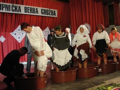 Sustav turističkih zajednica Stupnička berba grožđa