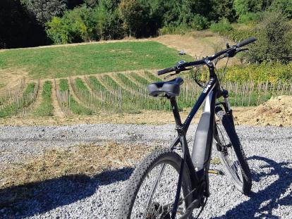 Sustav turističkih zajednica vođene ture na električnim biciklima