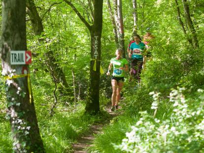 Sustav turističkih zajednica Rijeka Trail