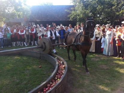 Sustav turističkih zajednica Izimača