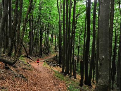Učka Trail