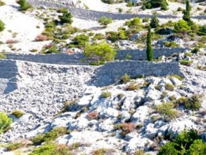 Sustav turističkih zajednica Napoleonova cesta