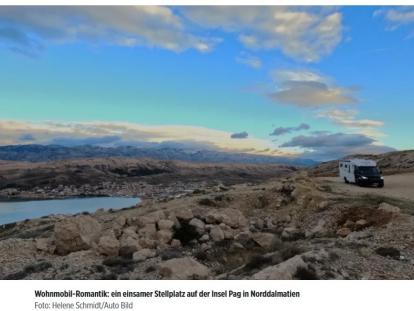 Bild web