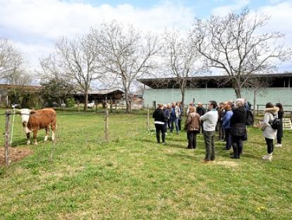 Turistička zajednica Varaždinske županije