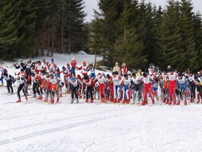 Višnja Bolf Skijaško trčanje