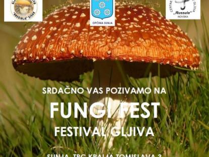 TZ Sisačko-moslavačke Fungi fest Sunja