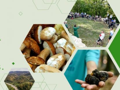 TZ Varaždinske Dani vrganja Paka