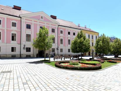 Siniša Sović Županijska palača