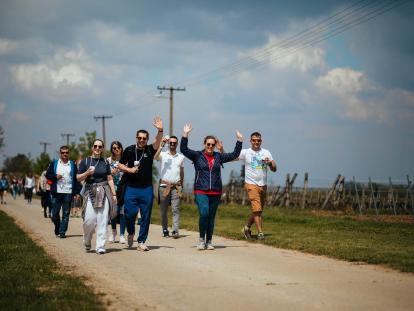 Ilok Walk&Wine