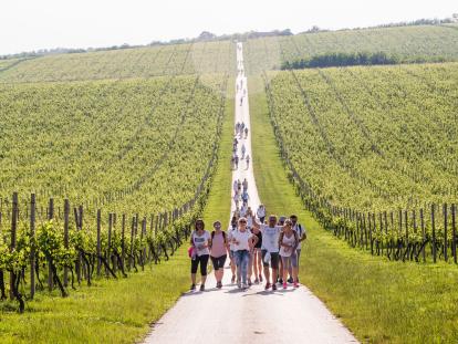 Nenad Milić Baranja Wine and Walk