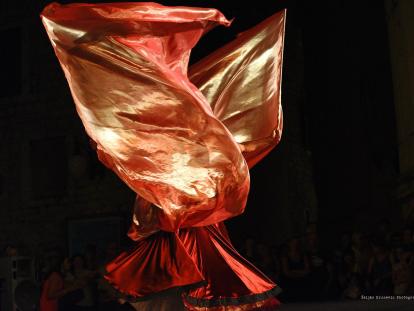 Željko Krnčević Šibenski plesni festival