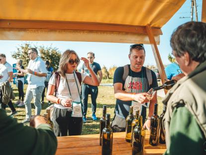 Wine & Walk Cestica