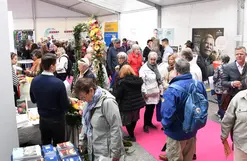 Seniordagen 