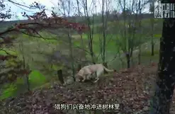 Turistička zajednica Istarske županije