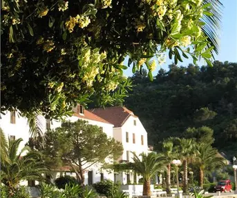 Hotel Šipan | Šipanska Luka