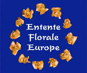 Zlatni cvijet Europe