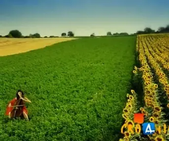 oda_radosti