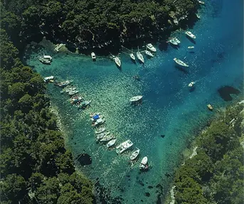 Losinj, Ivo Pervan