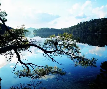 Mljet - Ivo Pervan